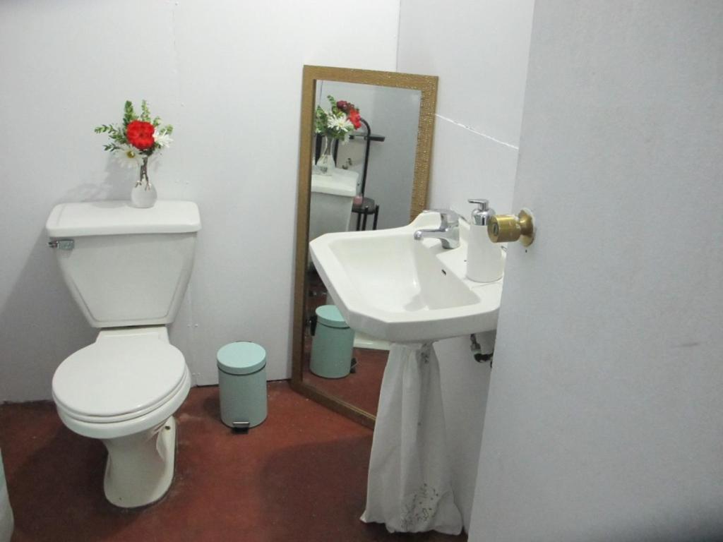 Habitaciones Centro Пукон Екстер'єр фото