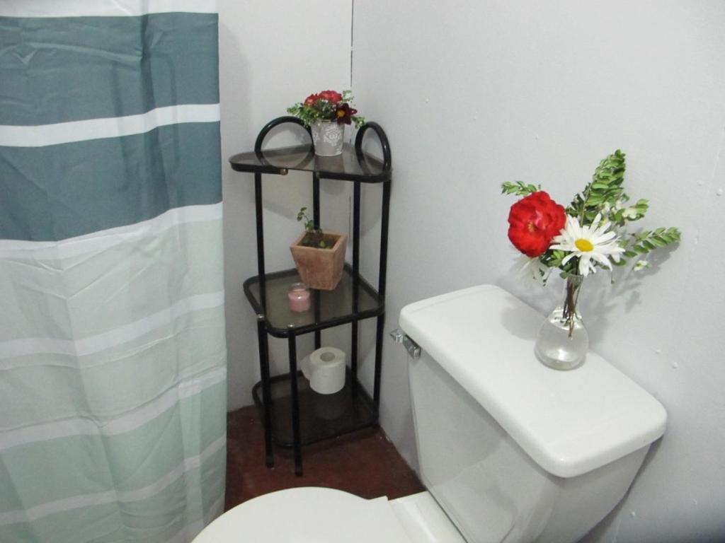 Habitaciones Centro Пукон Екстер'єр фото