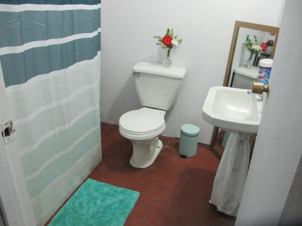 Habitaciones Centro Пукон Екстер'єр фото